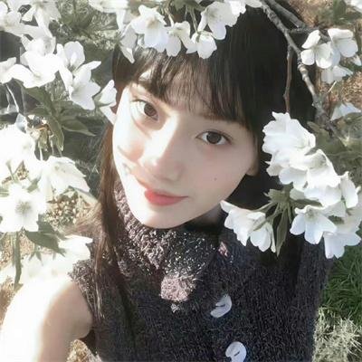 作法自毙